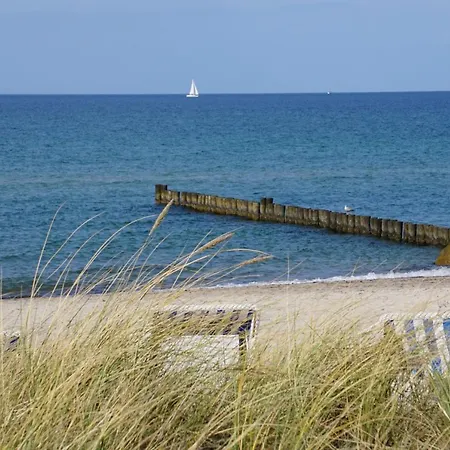Hébergement de vacances Fh Wildrose 2 Ostseebad Kühlungsborn